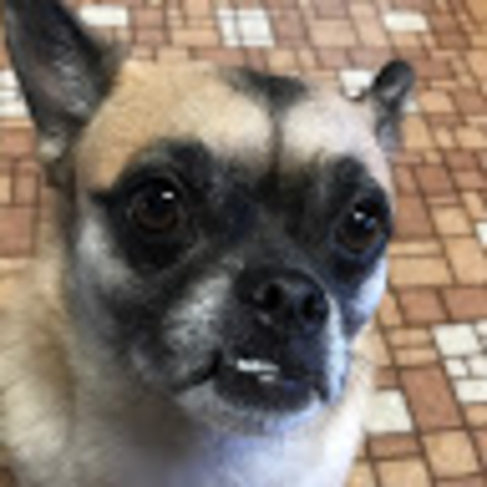 Meet your Posher, Hayley